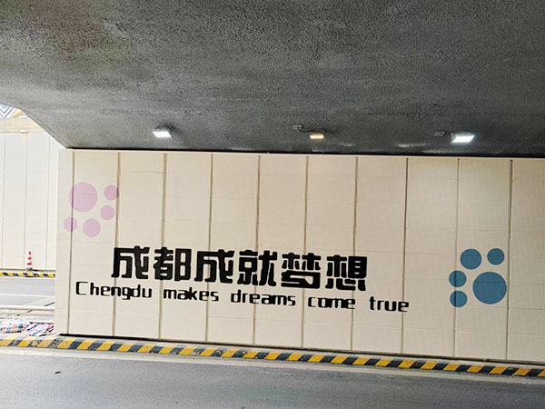 成都市龙泉驿区大运会...